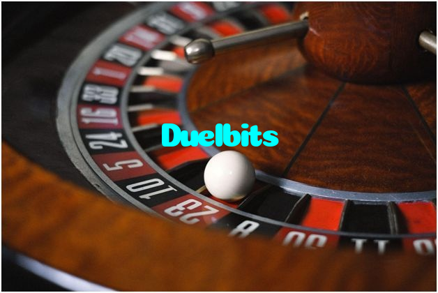 Duelbits casino presented on mobile device in Pakistan with slots and live games